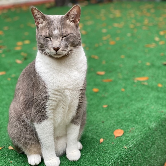 Meet your Posher, Karen - Picture 2 of 2